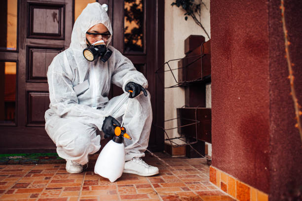 Reliable Cockroach Control contractor in Hinton, WV by Nex Pest Control